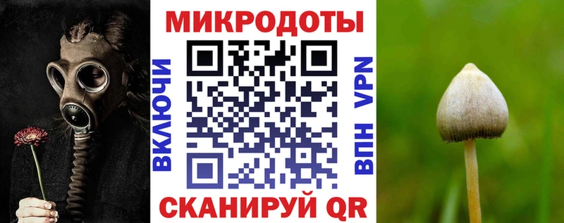 Купить где  Новоуральск  Галлюциногенные грибы Psilocybe 